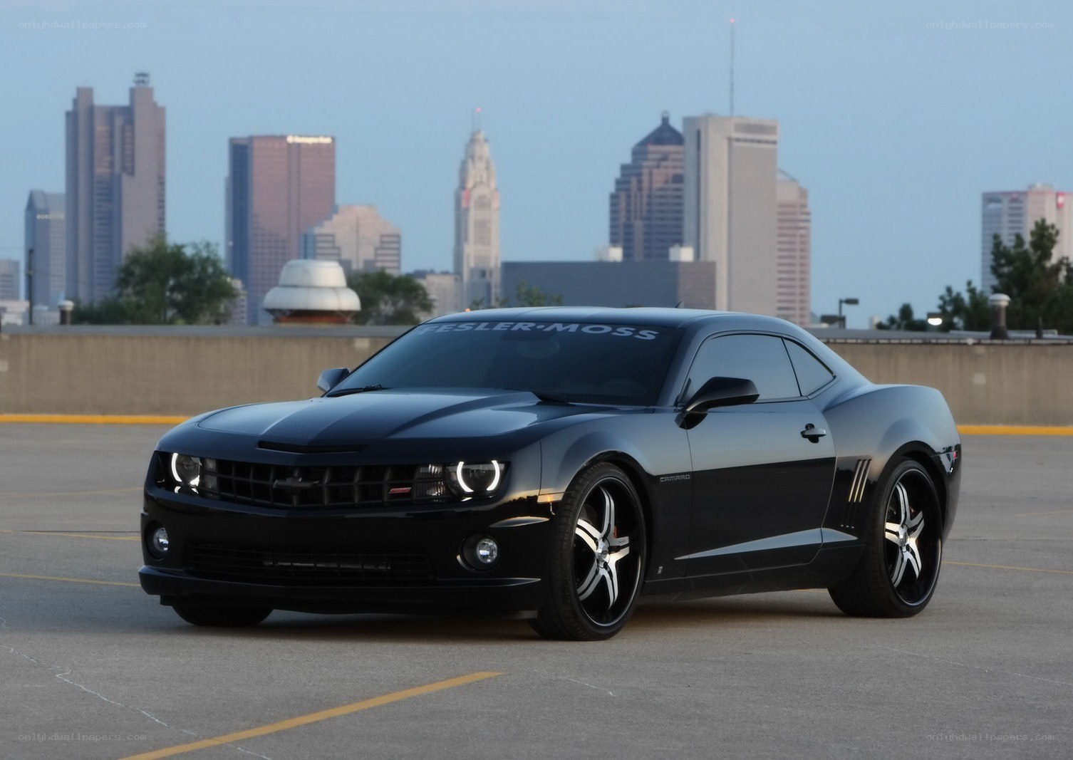 Black Camaro on rooftop