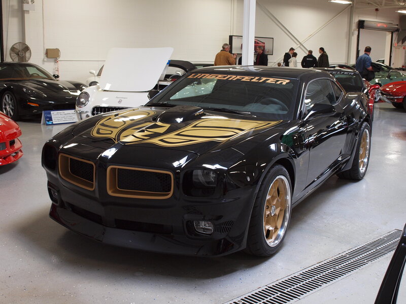 Black Camaro with Gold Accents — Neutral