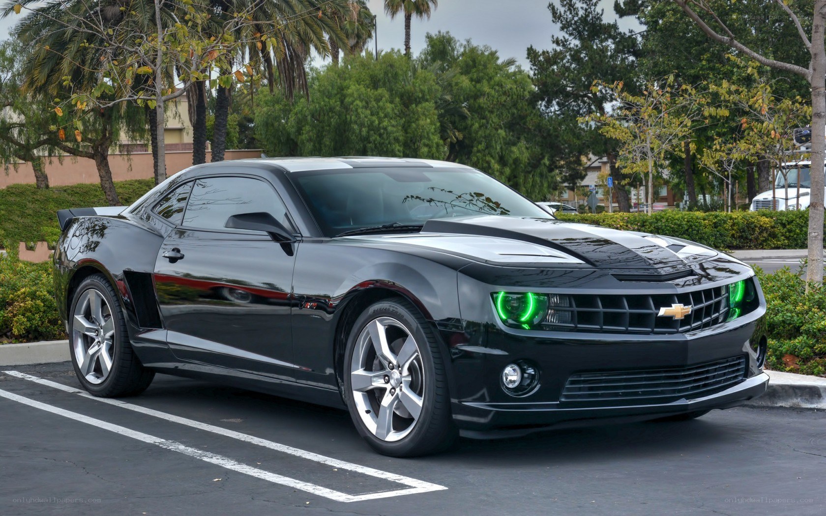 Black Camaro with green headlights