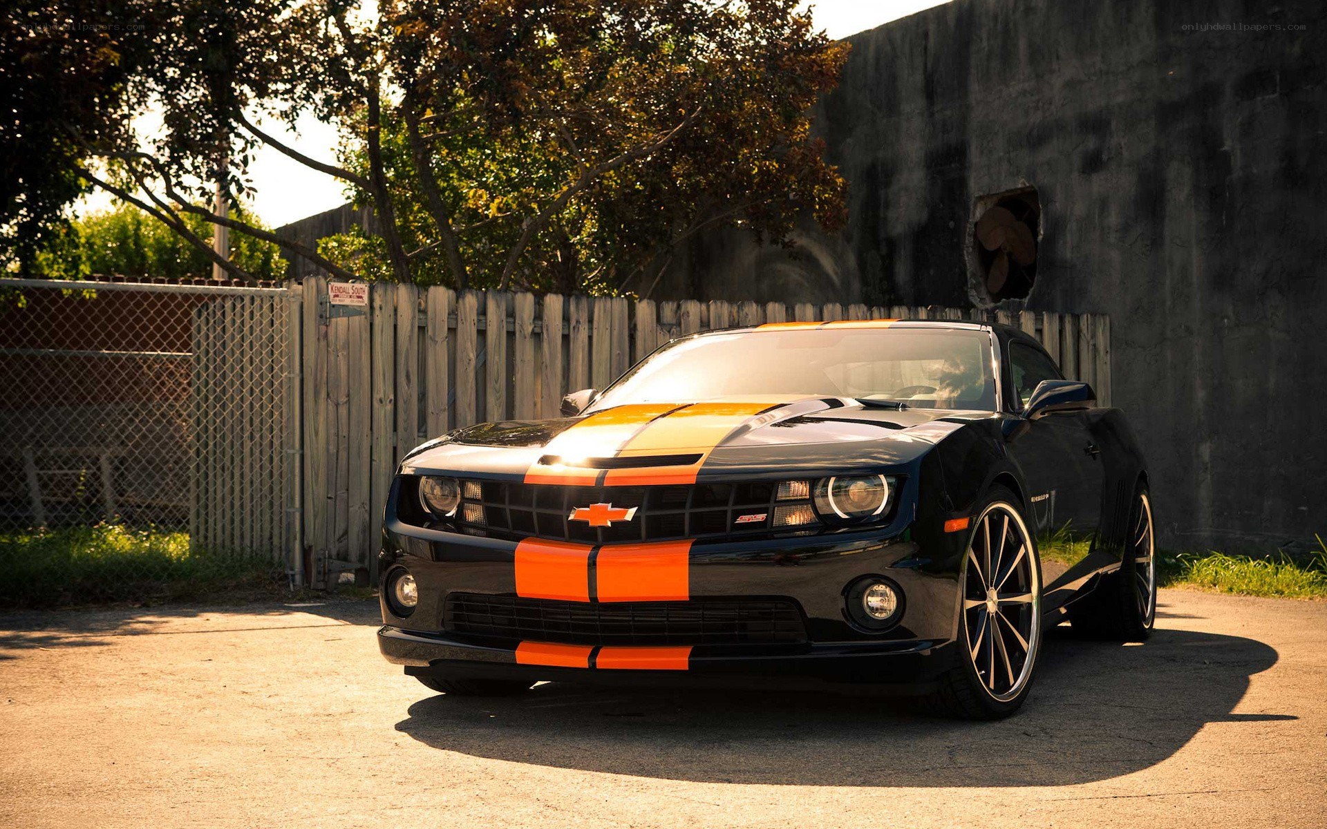 Black Camaro with orange stripes
