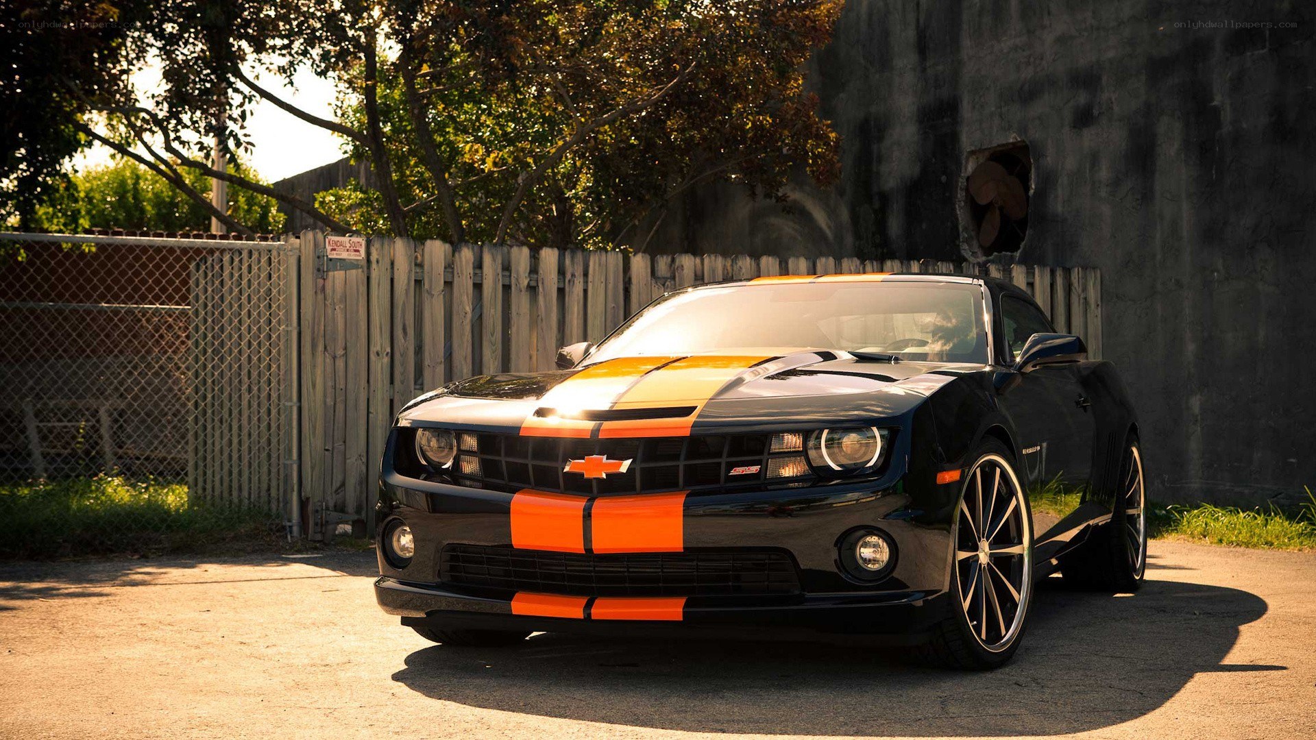black camaro with orange stripes