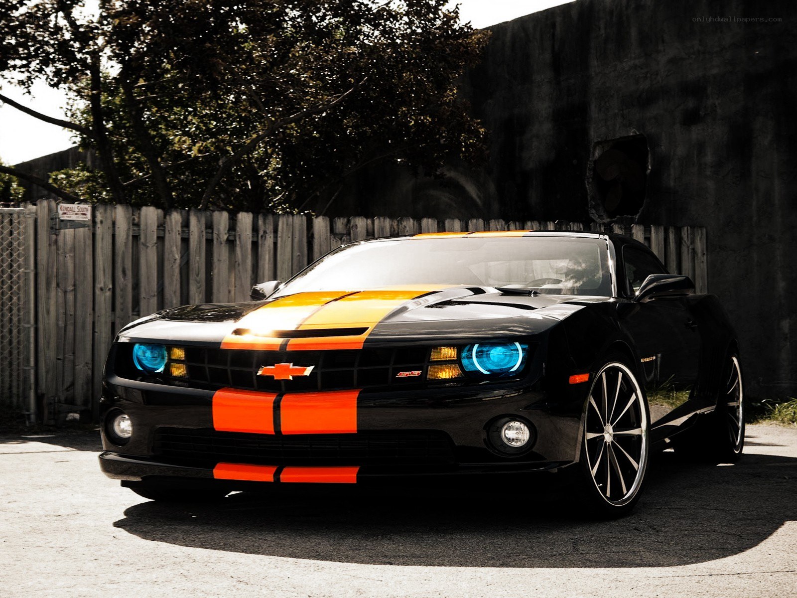 Black Camaro with orange stripes
