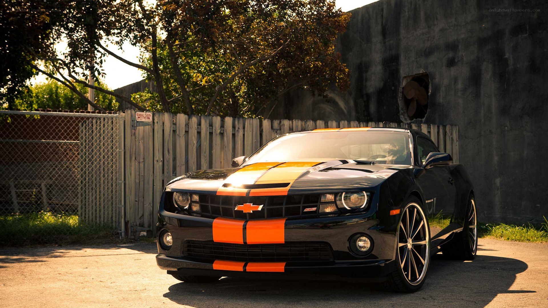 black camaro with orange stripes