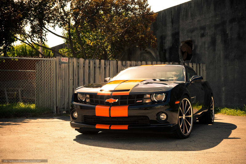Black Camaro with orange stripes