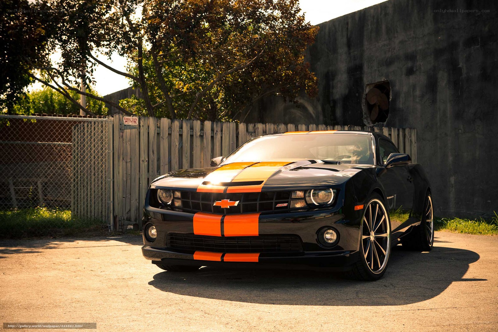 Black Camaro with orange stripes