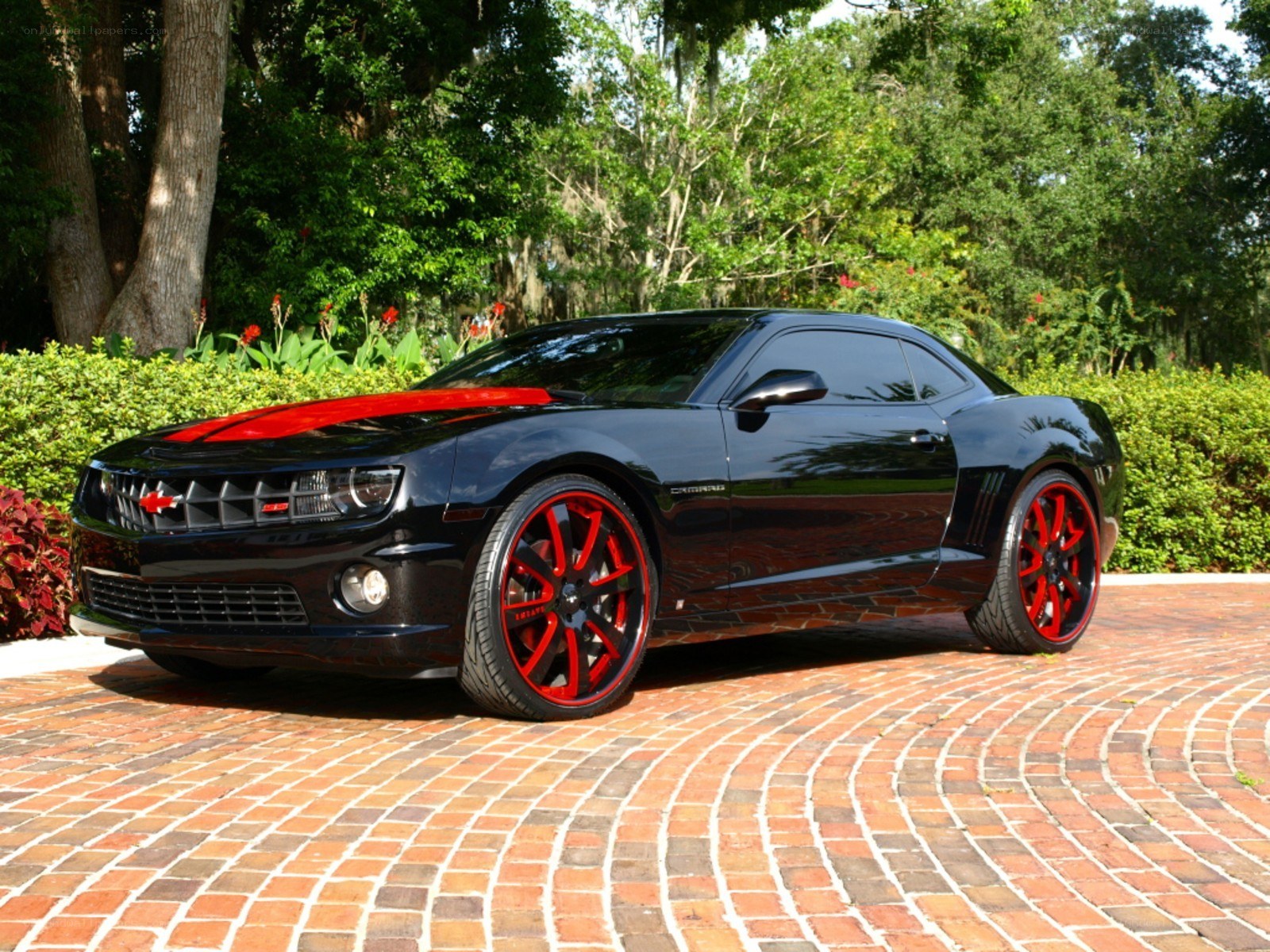 Black Camaro with red accents