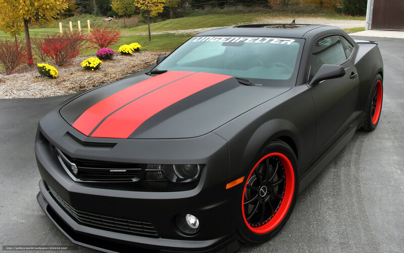 Black Camaro with Red Stripes — Calm