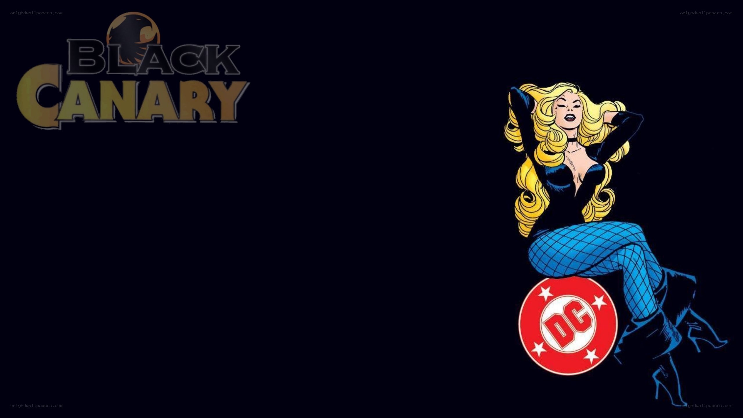 Black Canary character art