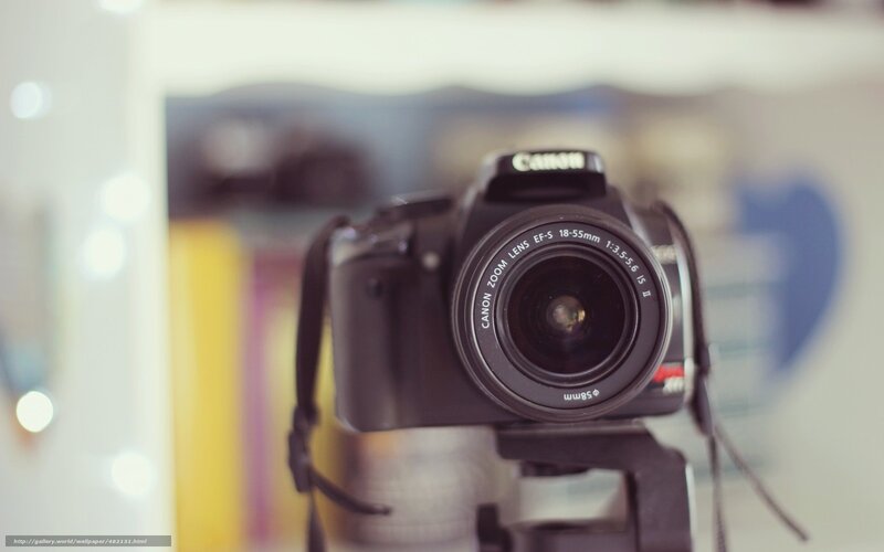 Black Canon Camera — Neutral, Photograph