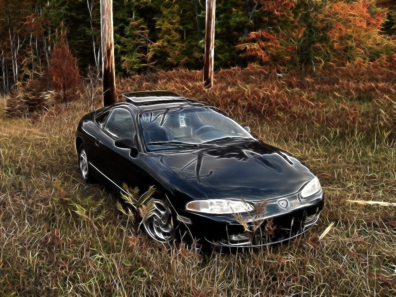 Black car in a field