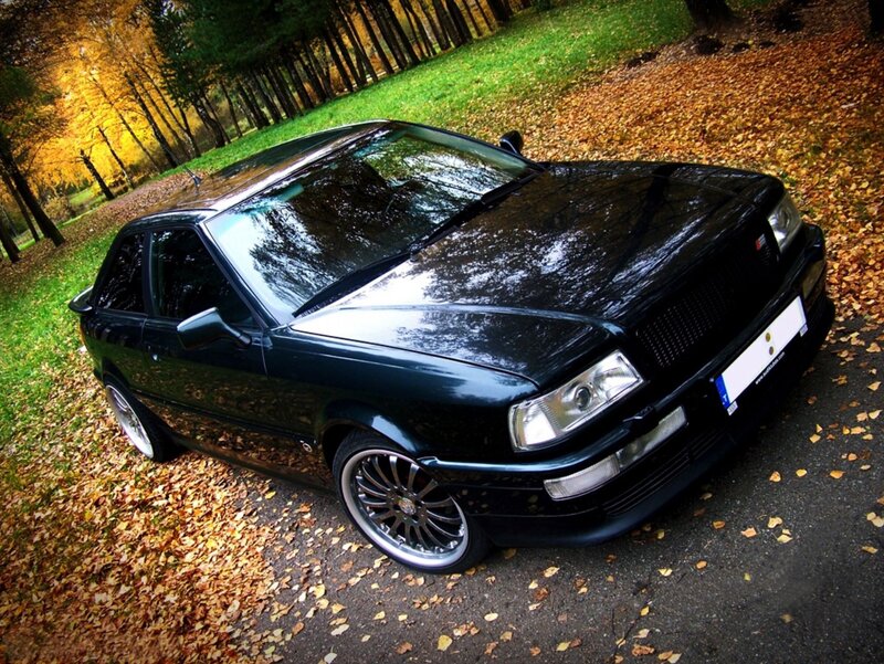 black car in autumn forest