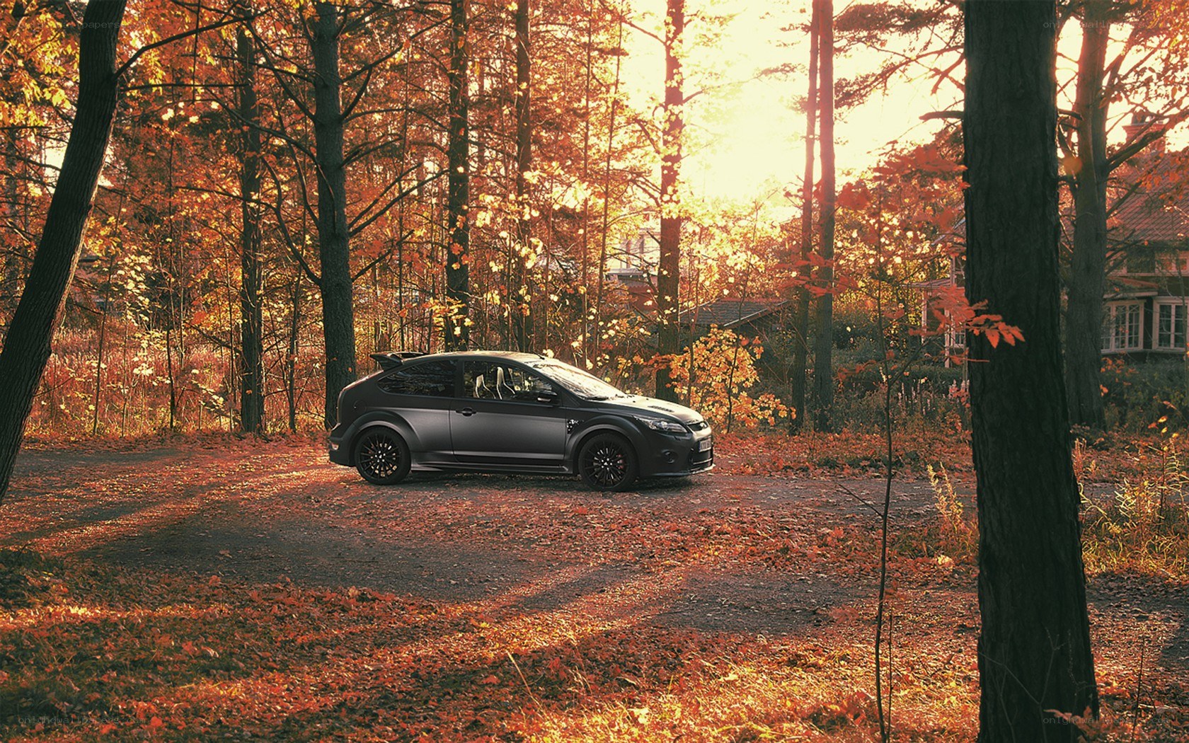 Black car in autumn forest