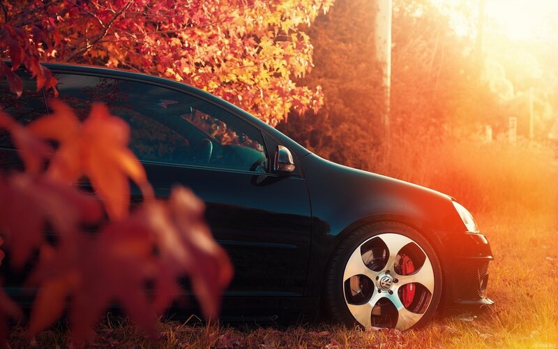 Black Car in Autumn — Orange