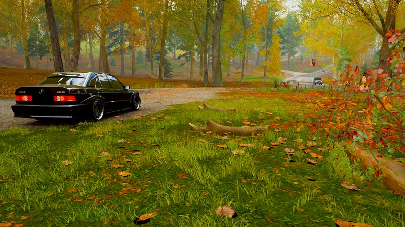 Black Car in Forest — Green, Serene