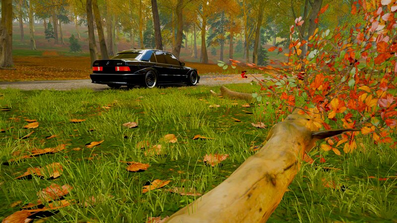 Black Car in Forest — Green