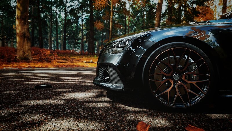 Black Car in Forest — Serene