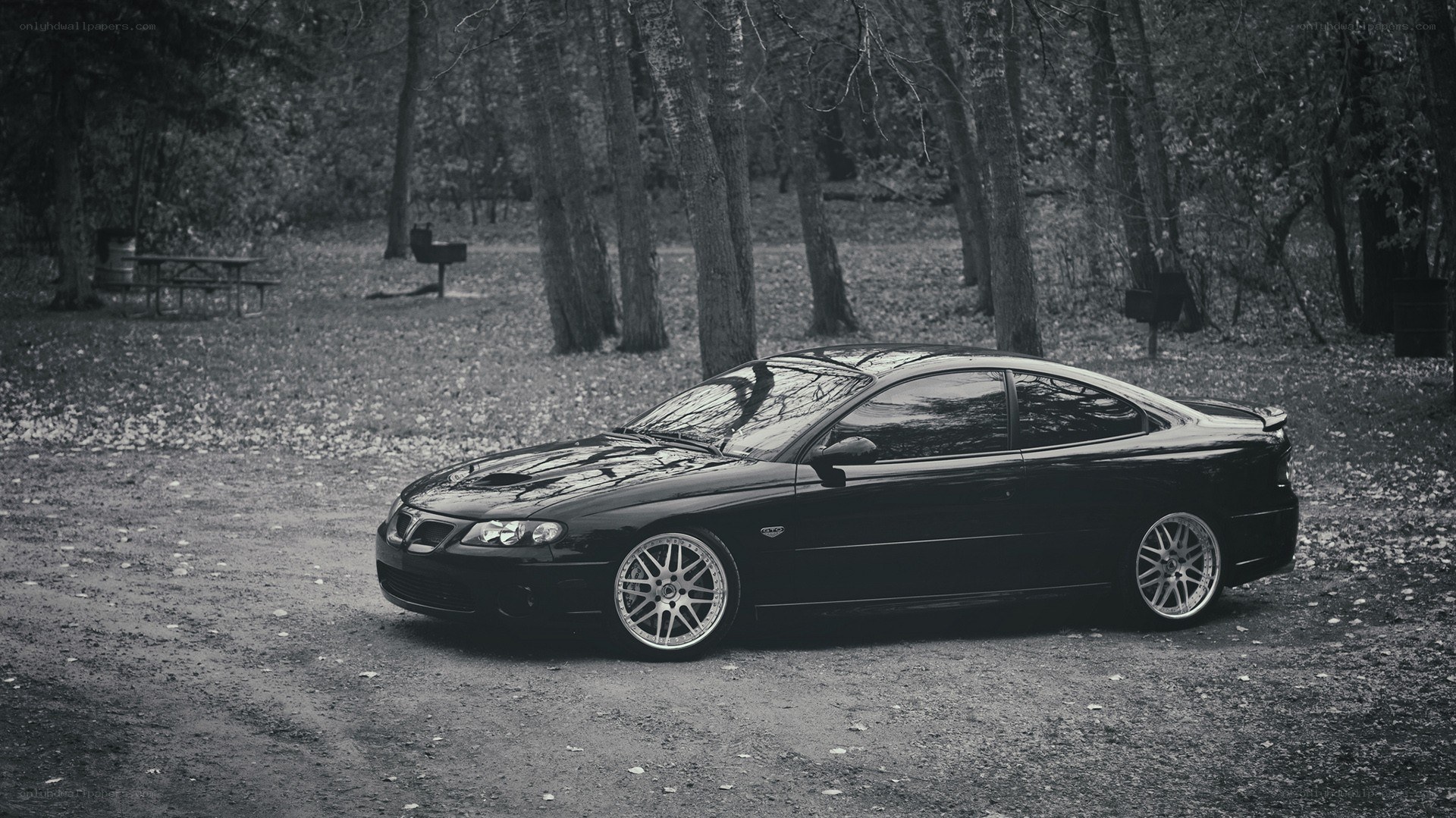 black car in forest setting