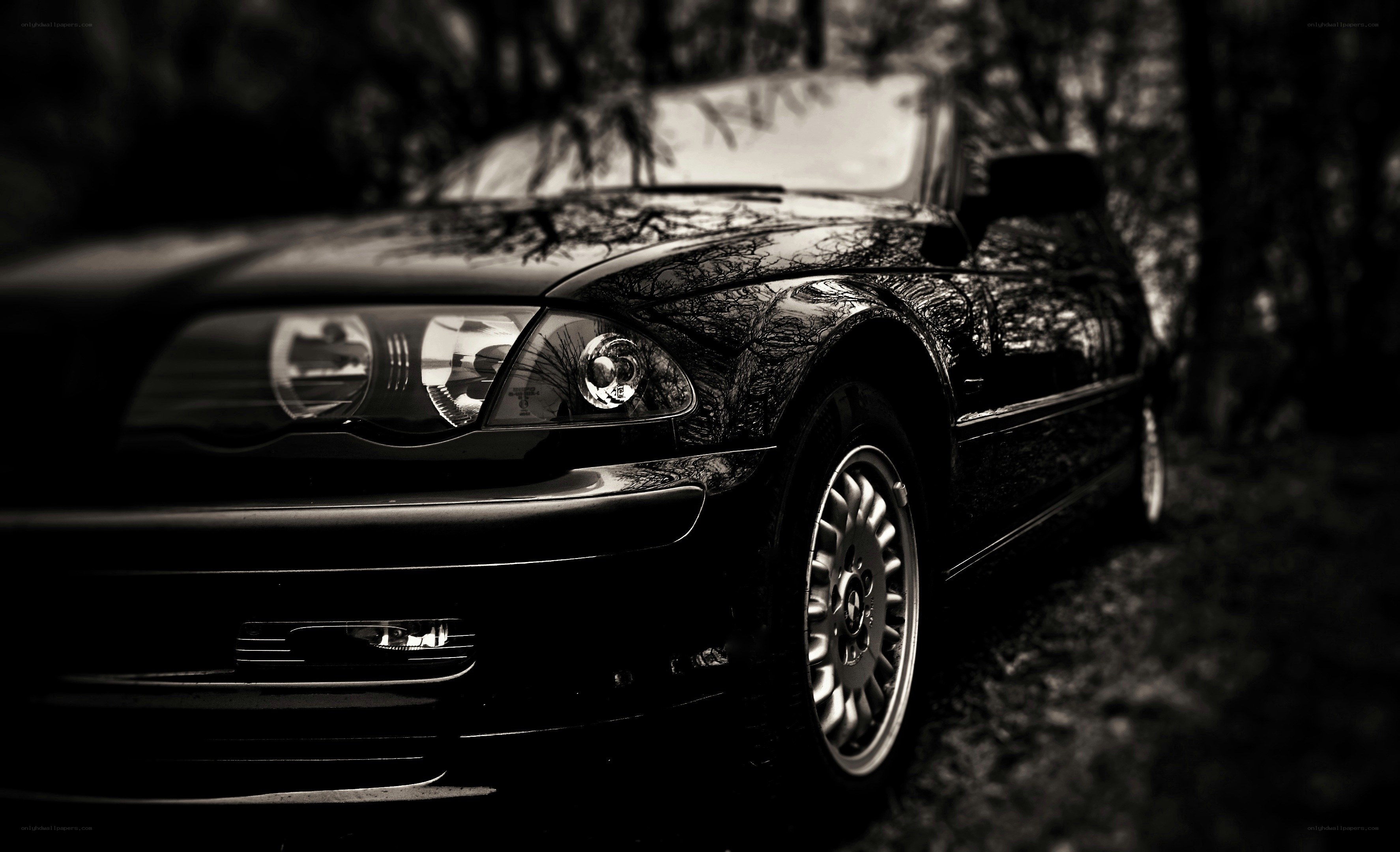 black car in forest