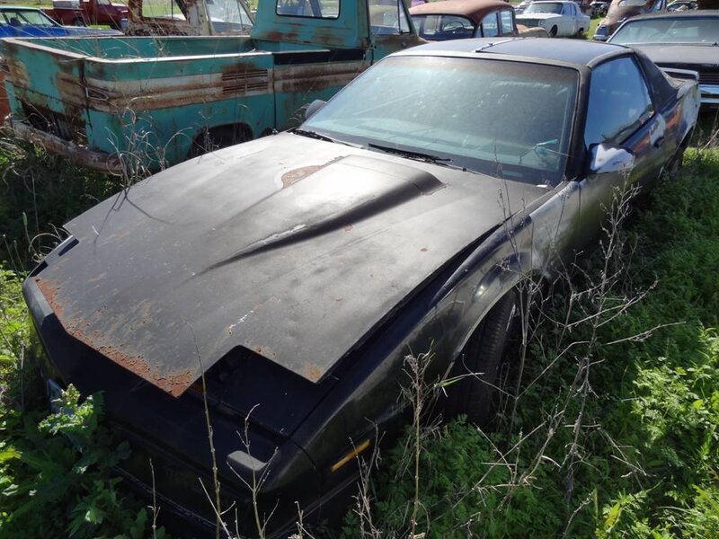 Black Car in Overgrown Lot