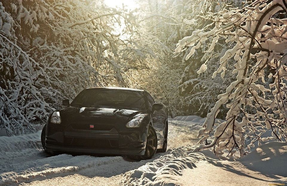 Black car in snowy forest