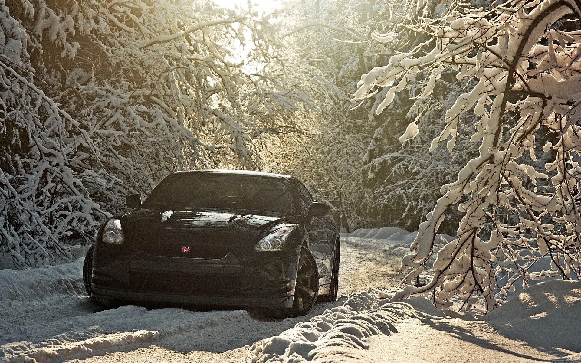Black car in snowy forest