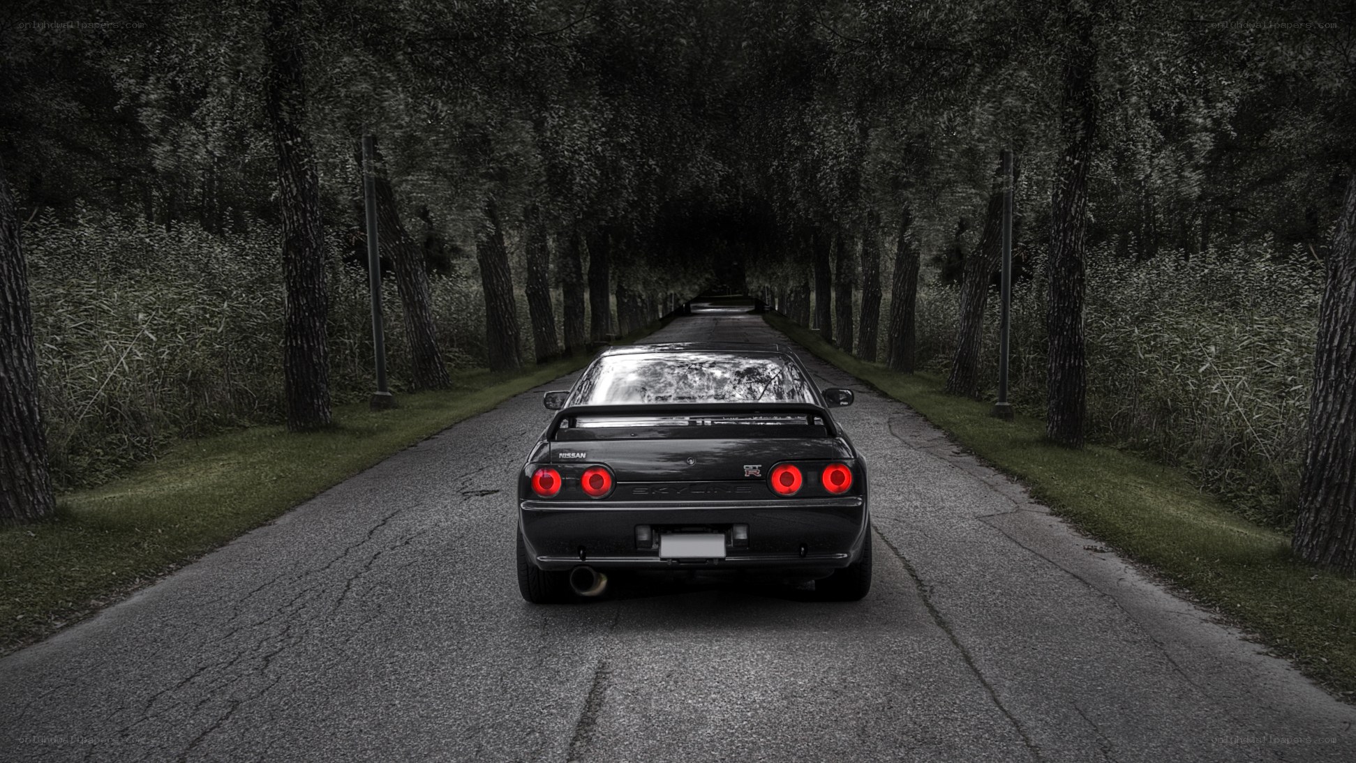 Black car on a tree-lined road