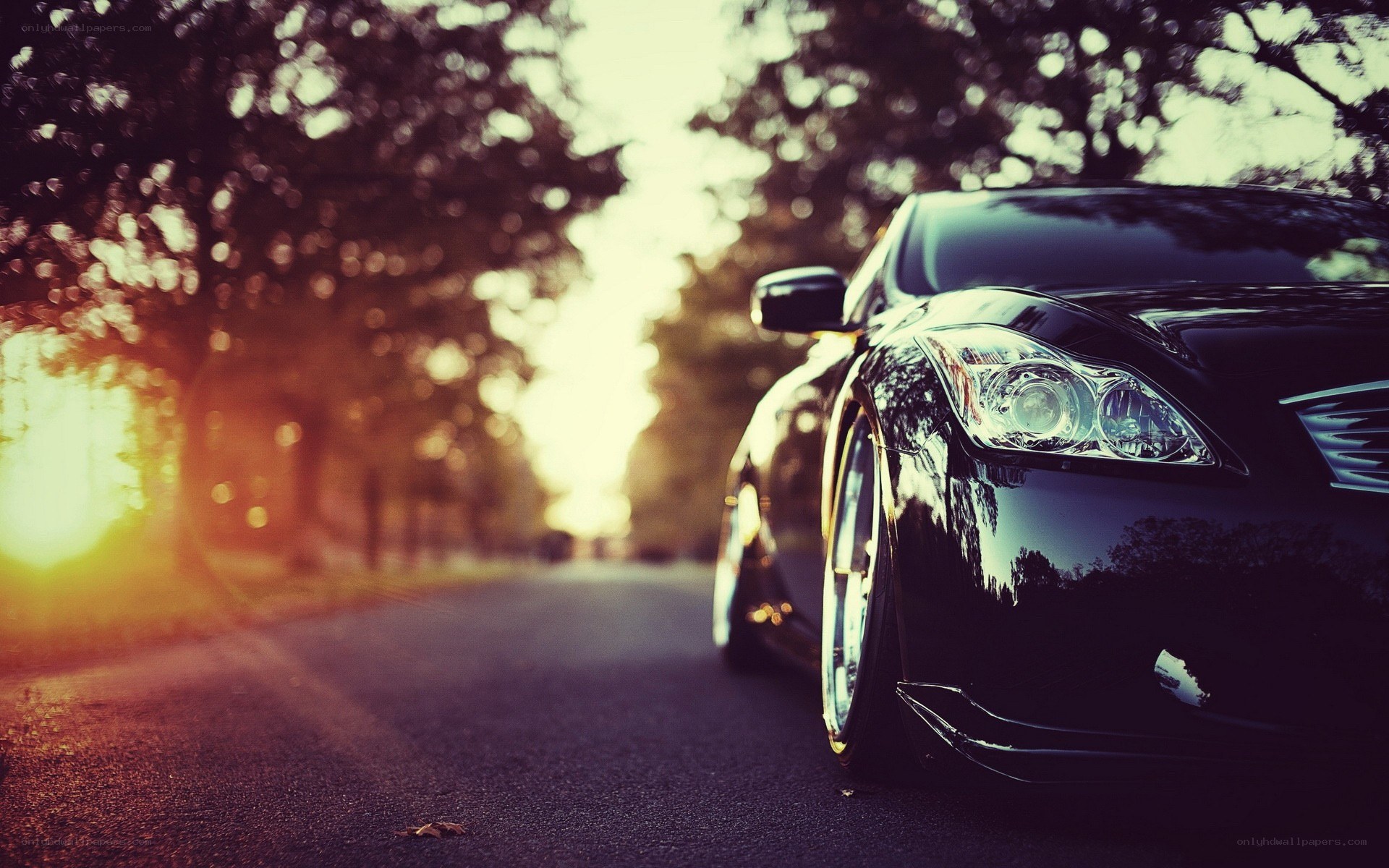 Black car on a tree-lined road