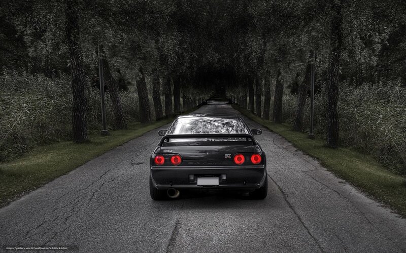 Black car on a tree-lined road