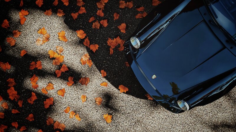 Black Car on Autumn Leaves