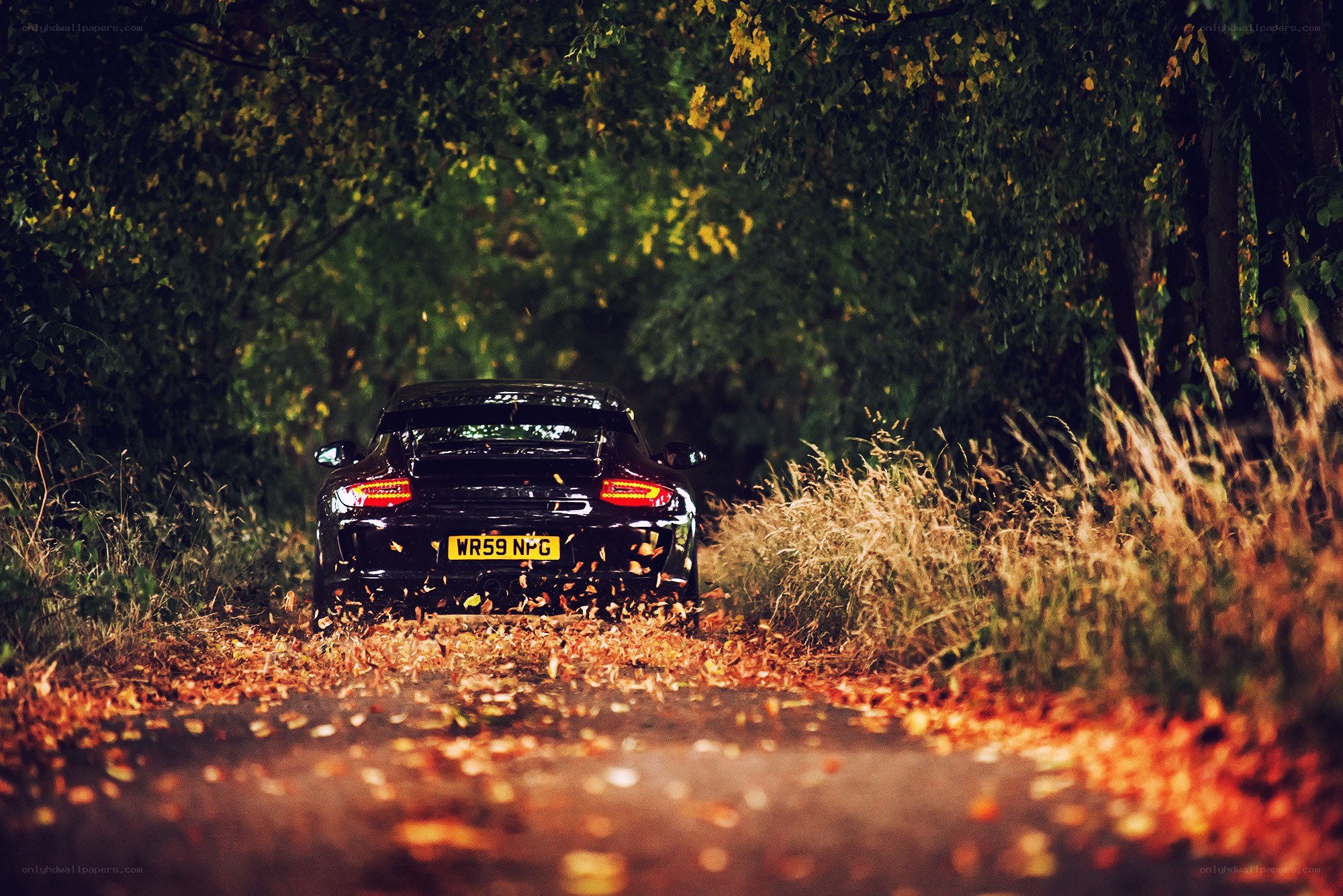 Black car on autumn road