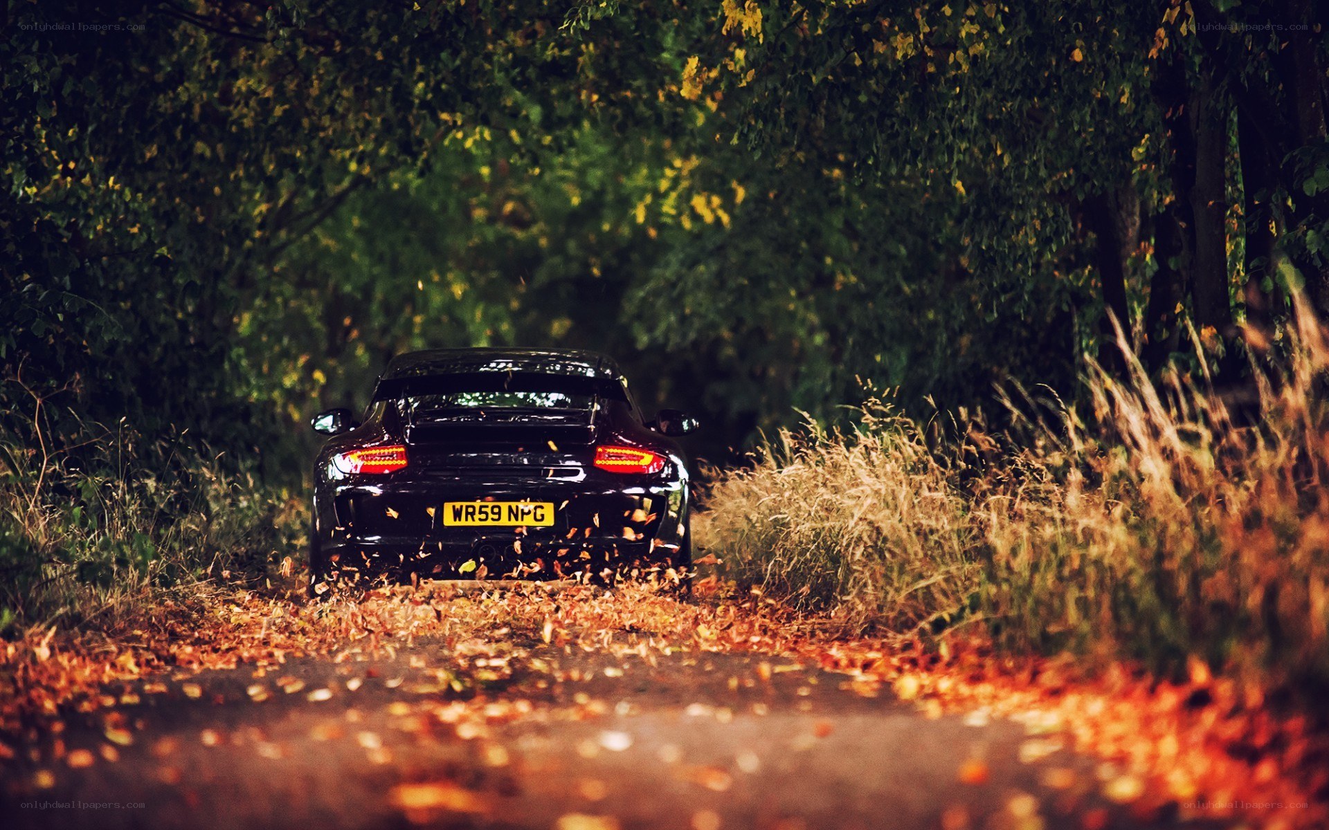 Black car on autumn road