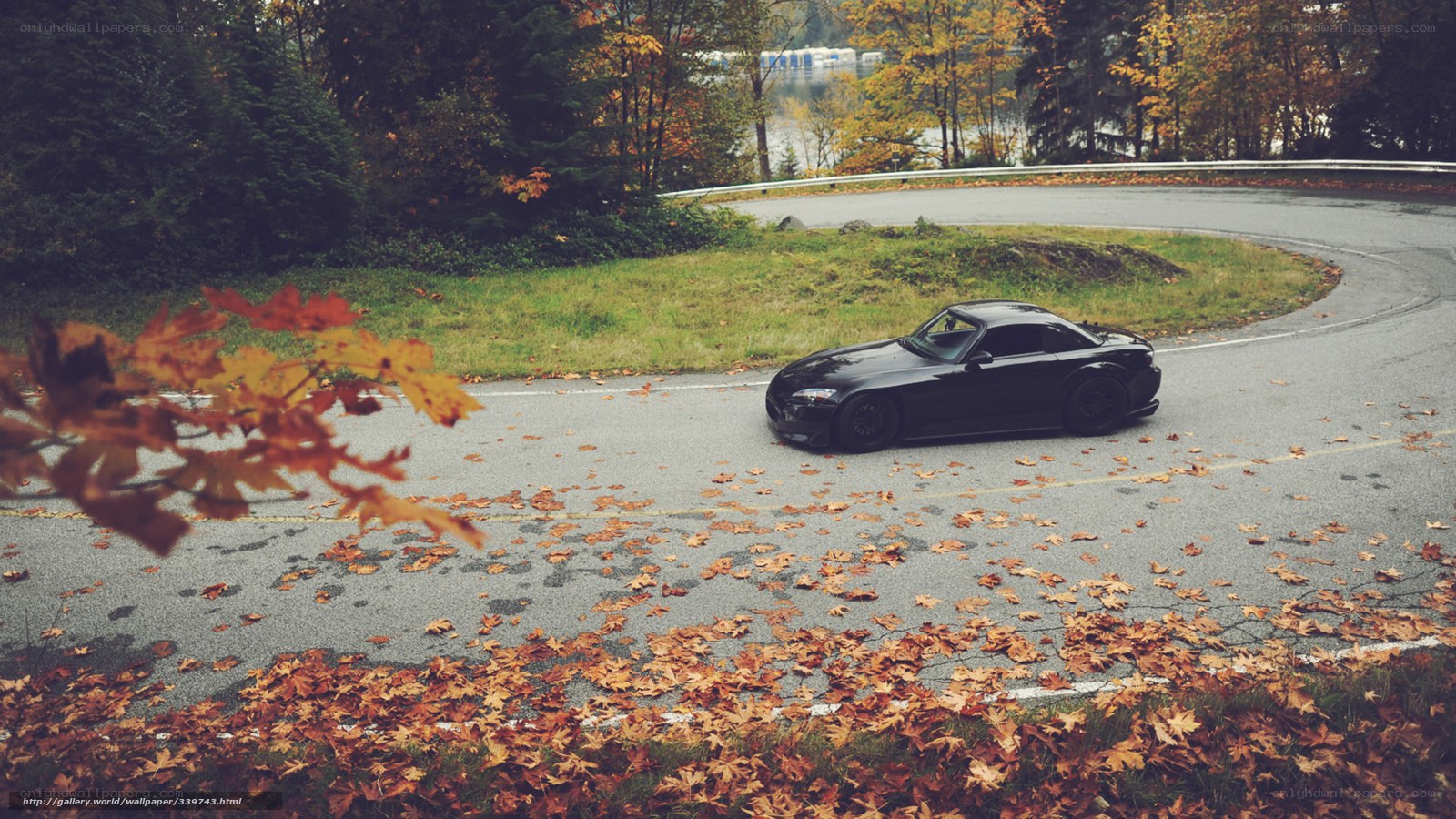 Black car on autumn road