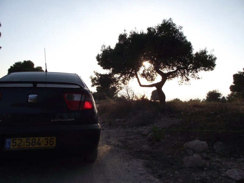 Black Car on Dirt Road — Serene