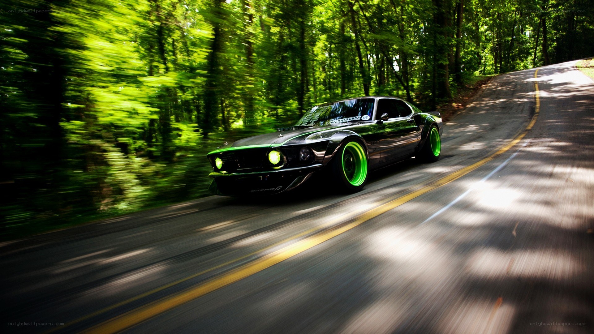 black car on forest road