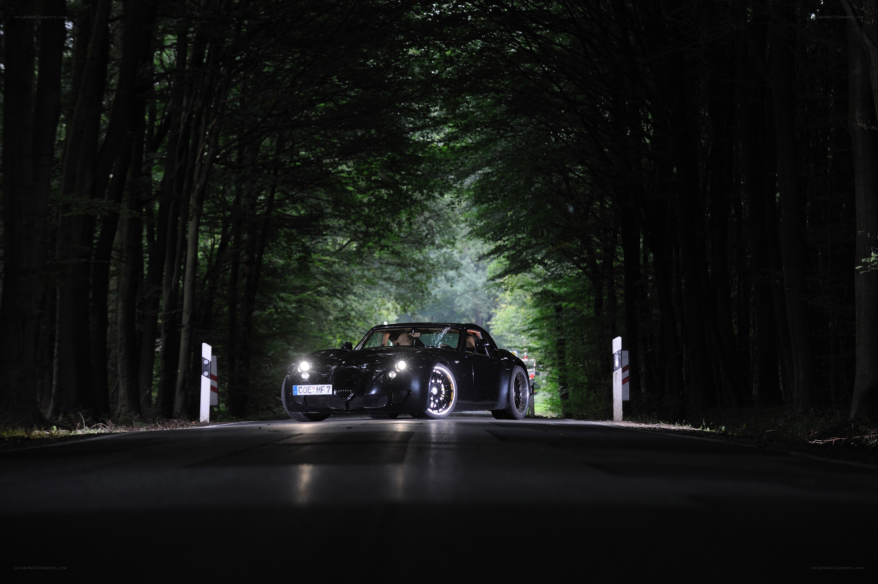 Black car on forest road at night