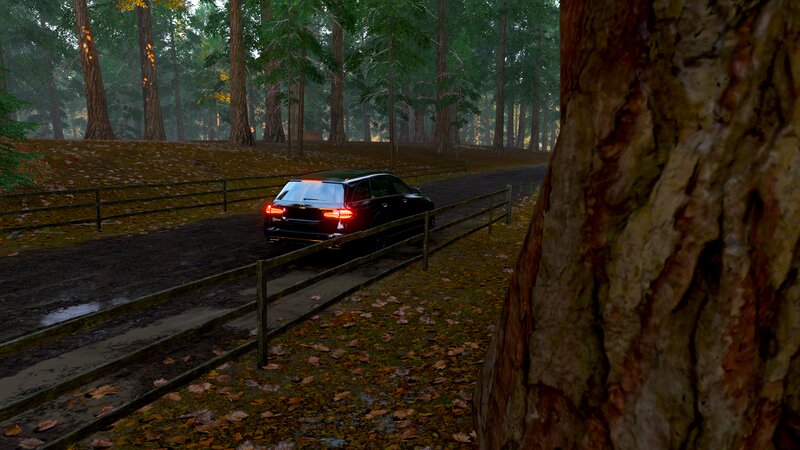 Black Car on Forest Road — Green