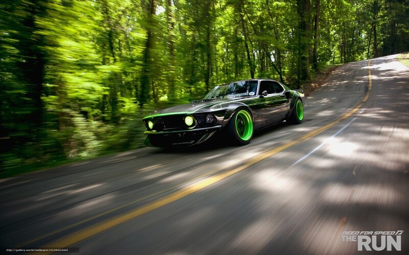 black car on forest road