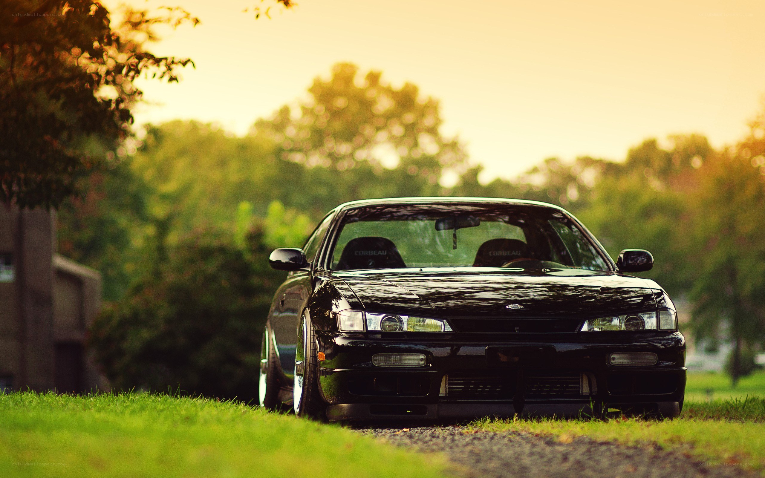 black car on grass at sunset