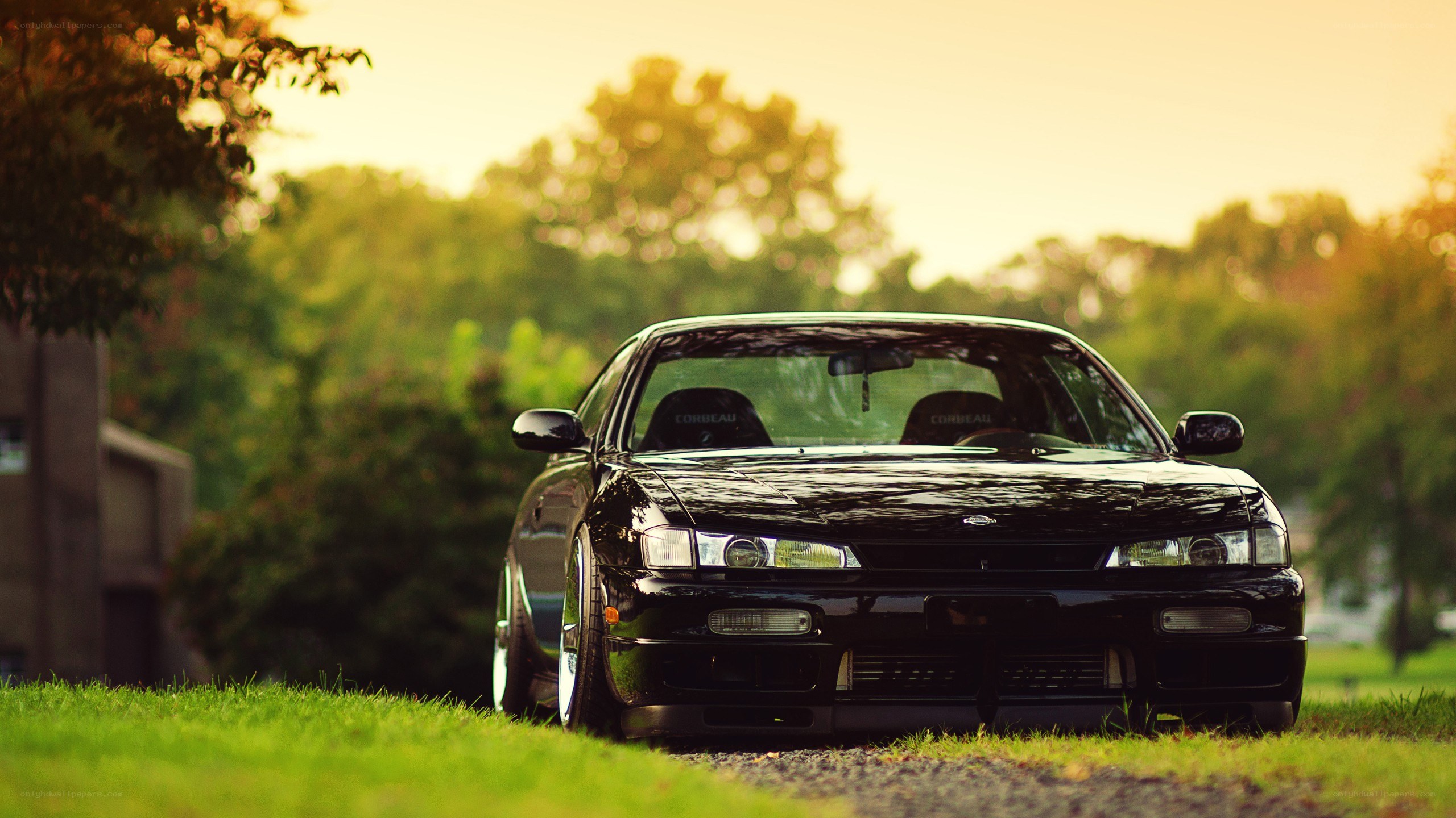 black car on grass at sunset