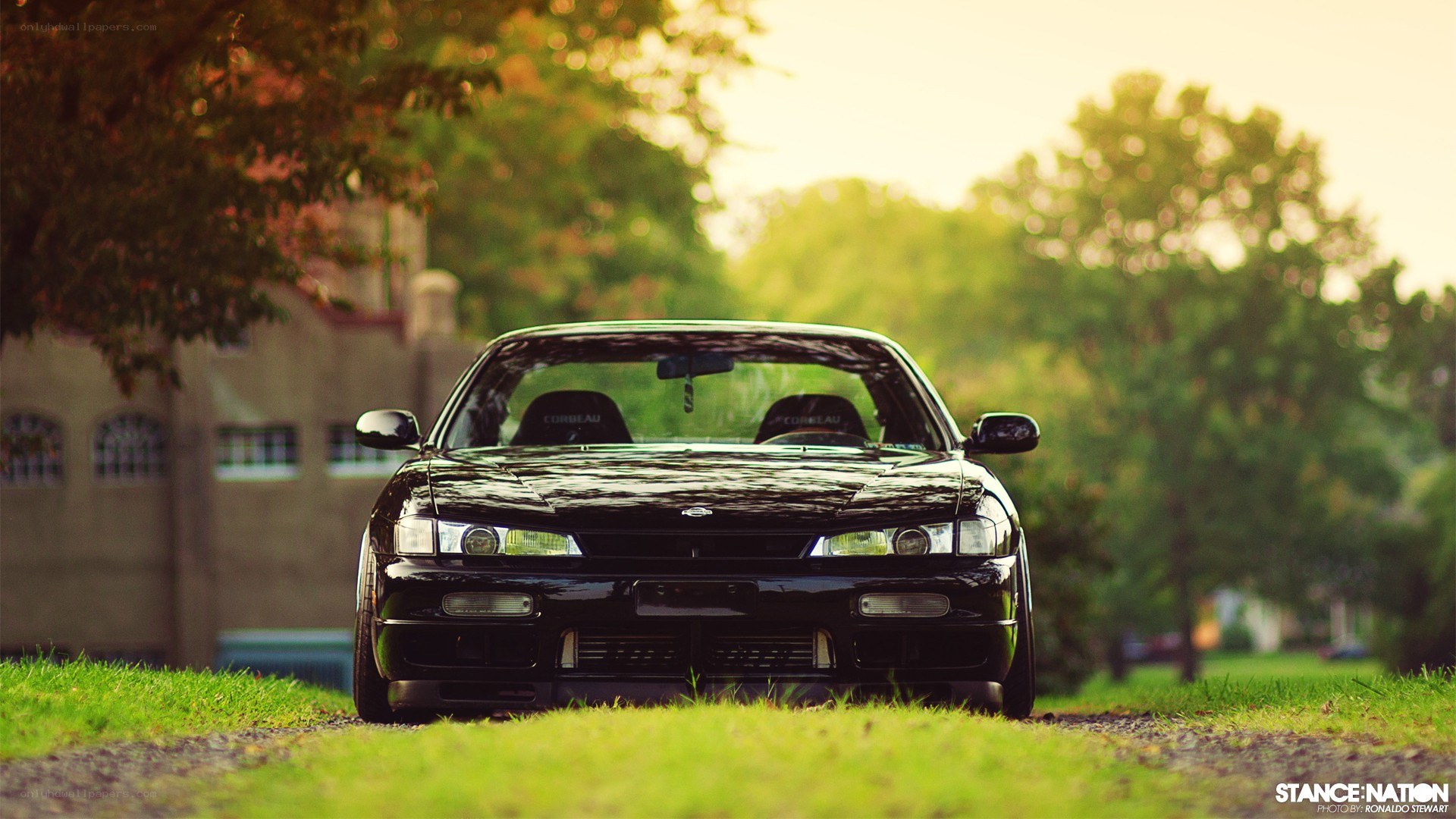 black car on grass at sunset
