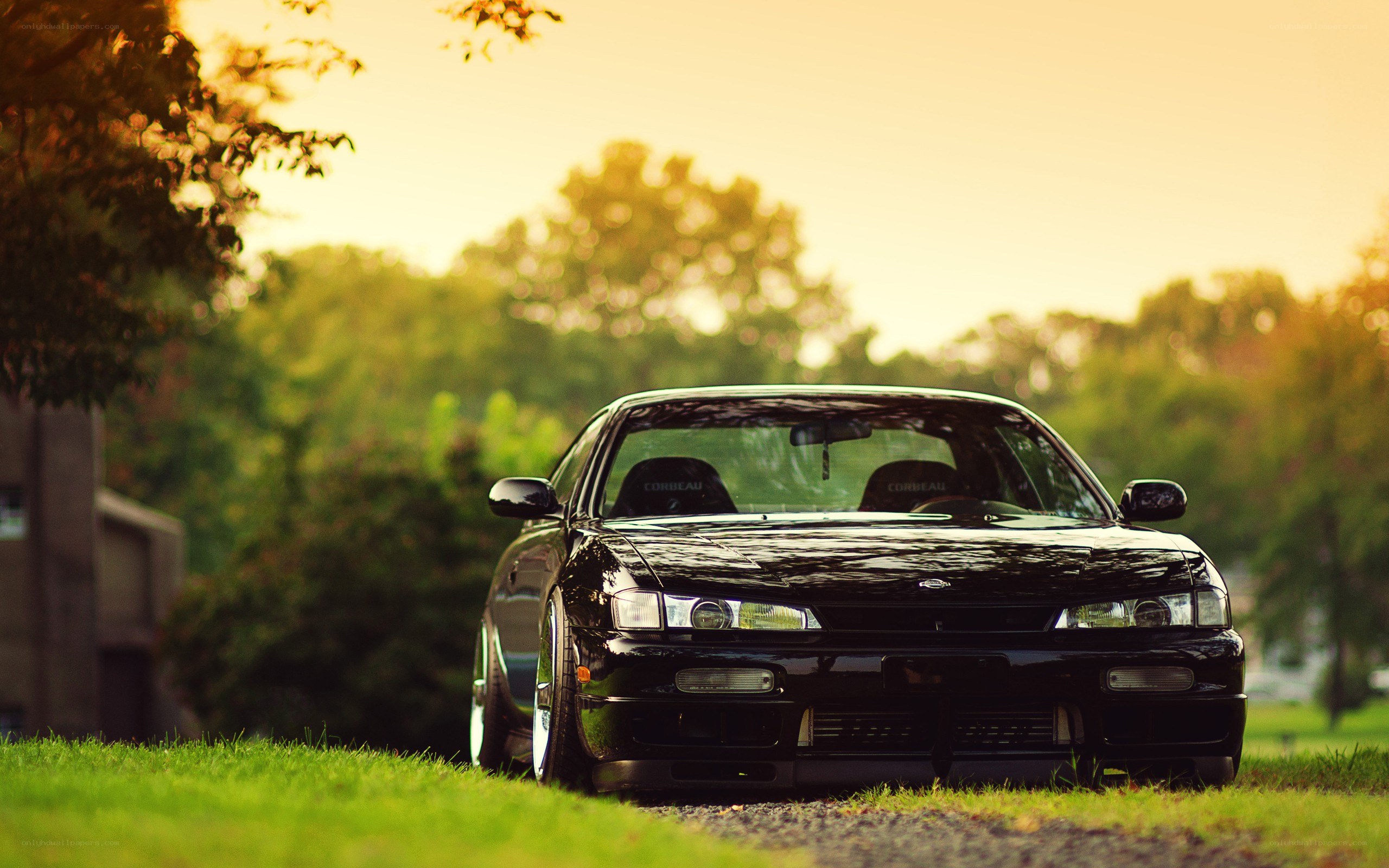 black car on grass at sunset