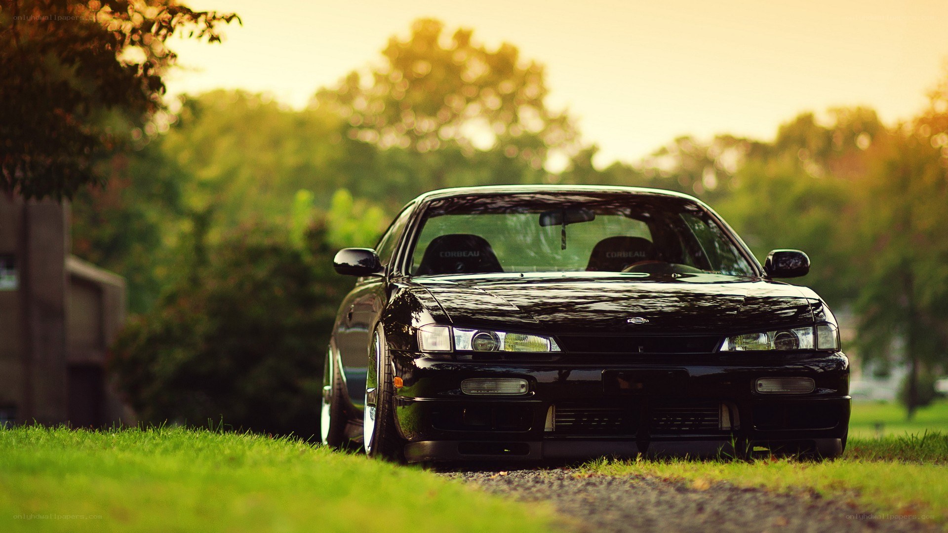 black car on grass at sunset