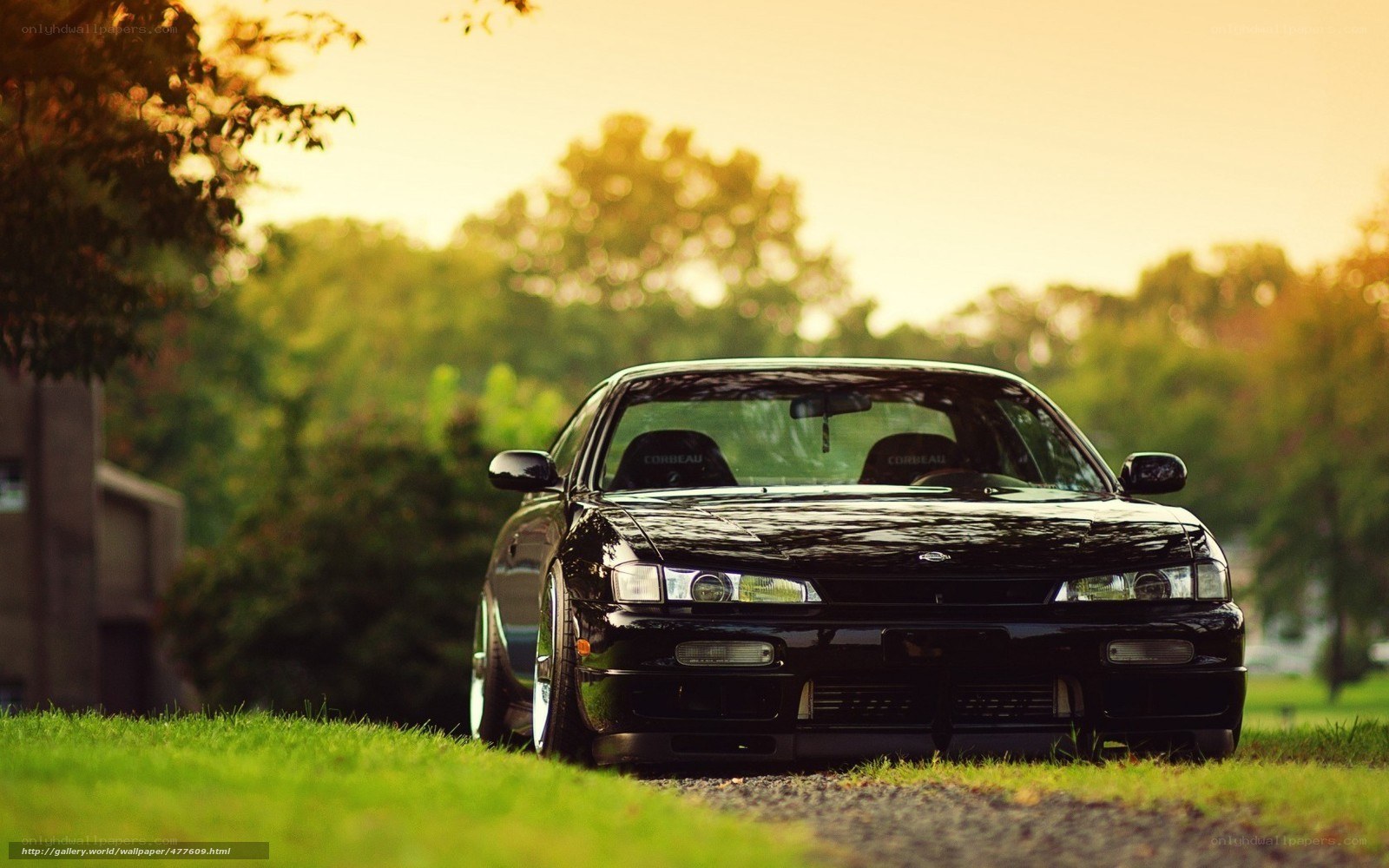 black car on grass at sunset