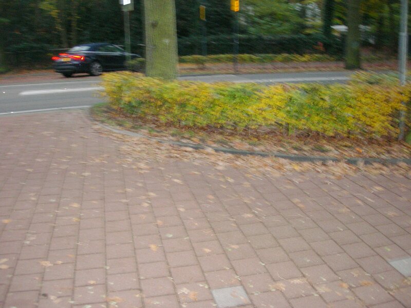 Black Car on Road — Brown, Calm