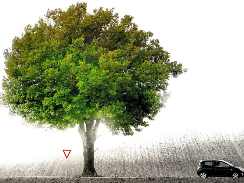 Black Car on Road — Green