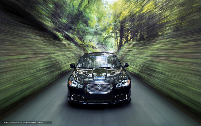 Black car speeding through forest