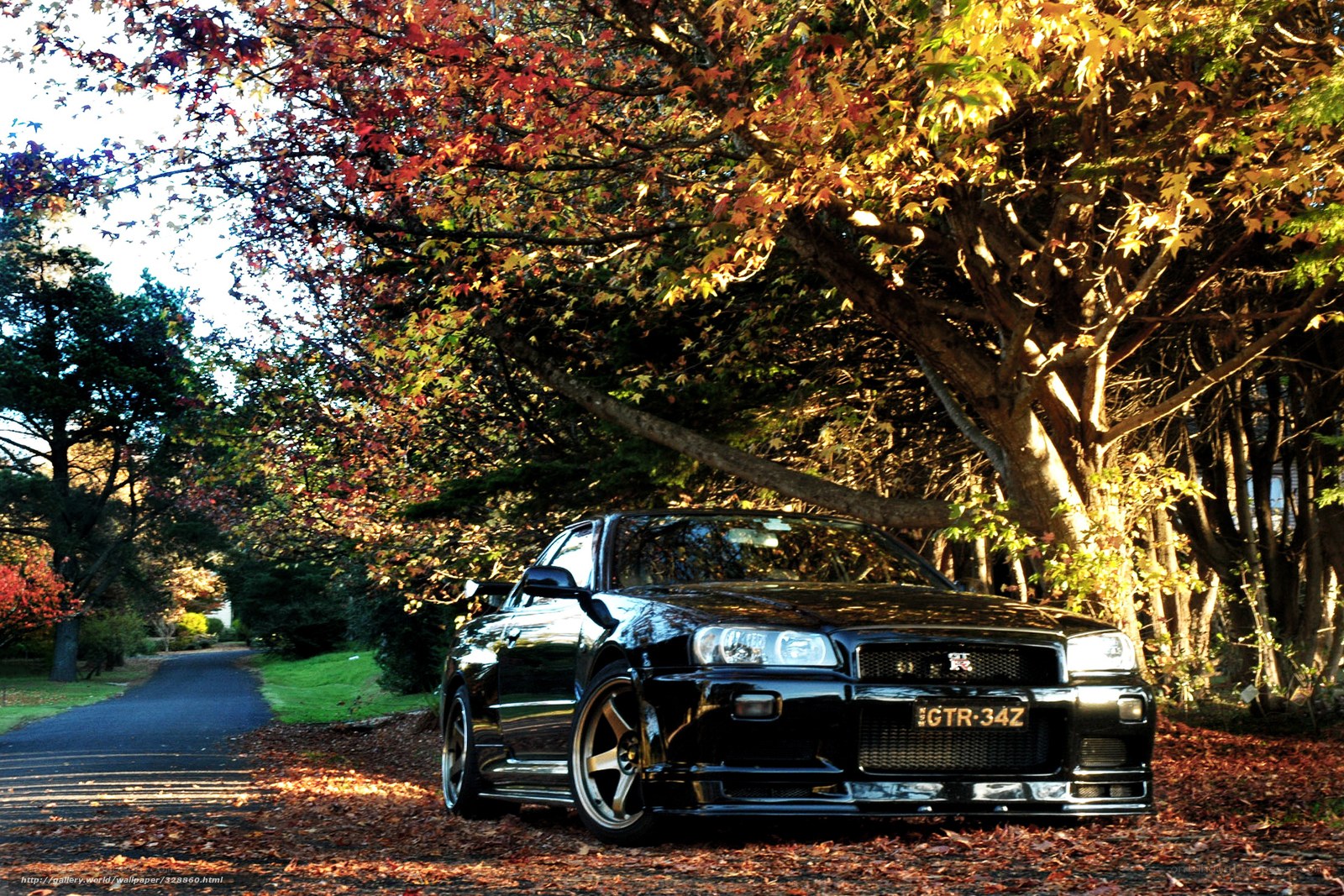 Black car under autumn trees