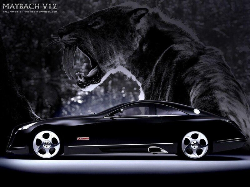 Black Car with Saber-toothed Cat
