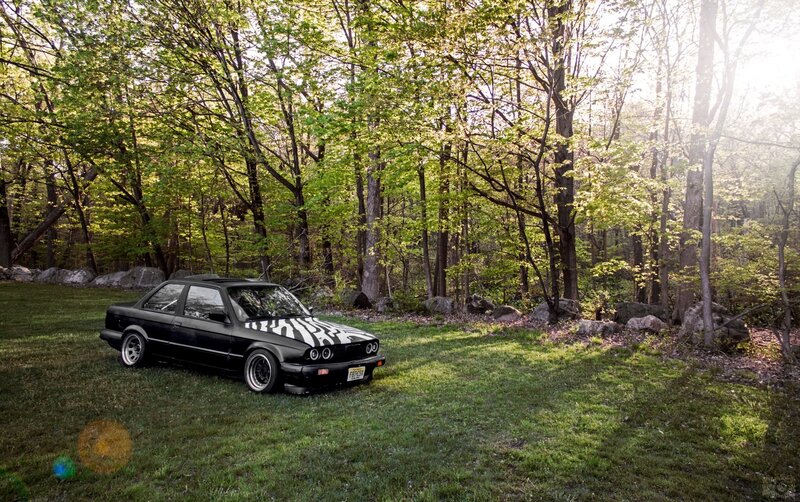 Black Car with Zebra Stripes