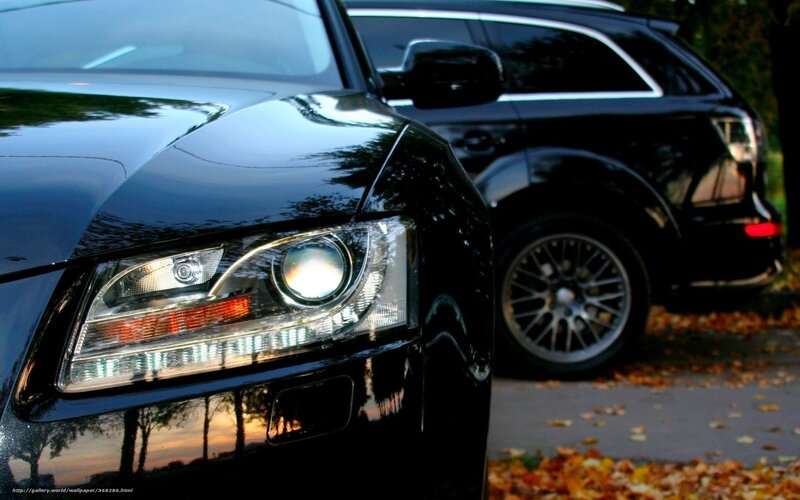 Black cars on autumn street